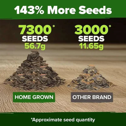 Zinnia Seeds - Pure Seeds - No Filler - USA Heirloom Flower Seeds
