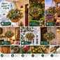 🎄Christmas Hot Sale🔥 Pre-Lit Christmas Hanging Basket | Warm LED Evergreen Décor for Porches, Doors & Entryways ✨